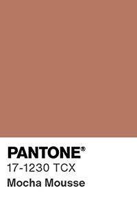 A cor do ano: Pantone 17-1230 Moucha Mousse